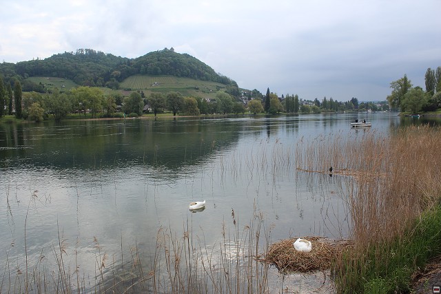 img00282.jpg