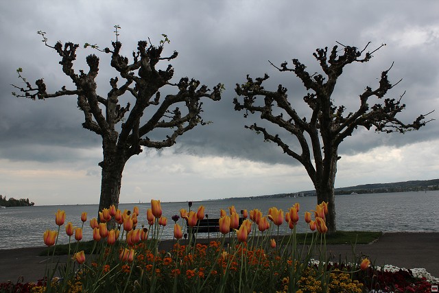 img00354.jpg