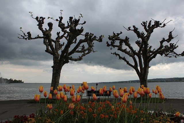 img00355.jpg