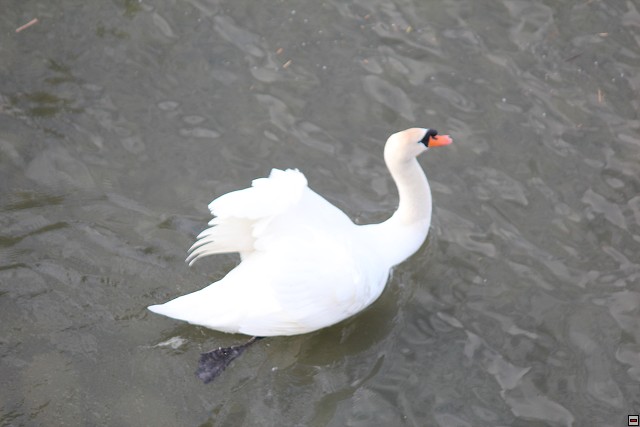 img00396.jpg