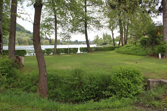 img00406.jpg