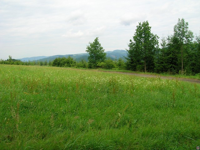 img00022.jpg
