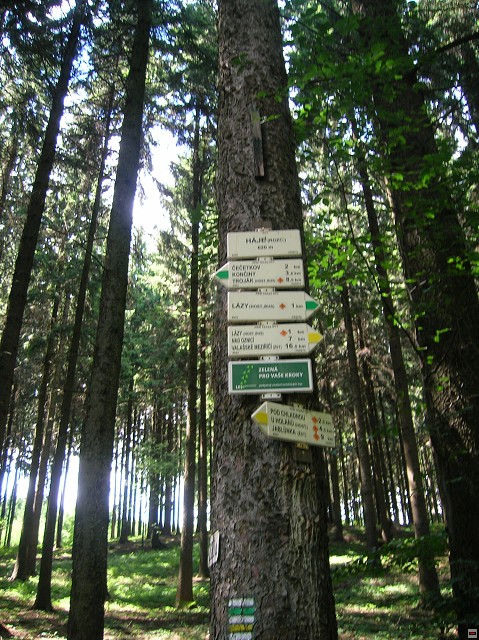 img00027.jpg