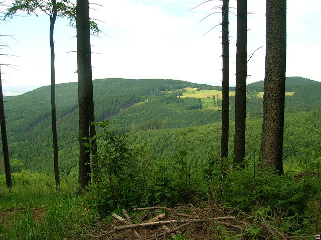 img00028.jpg