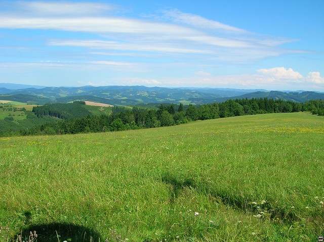 img00034.jpg
