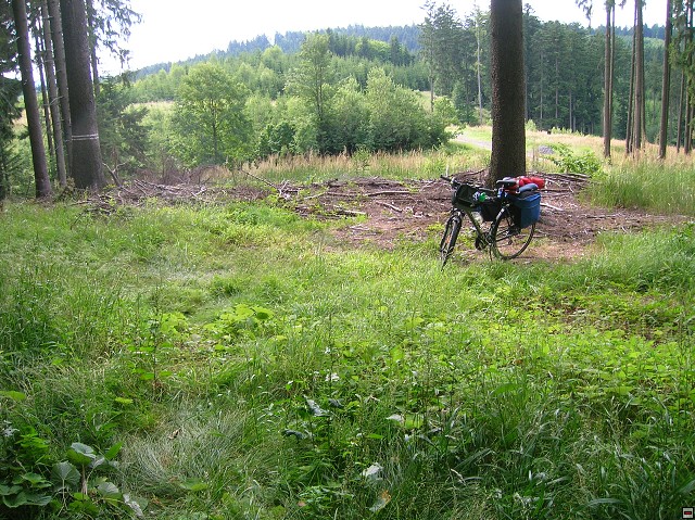 img00035.jpg