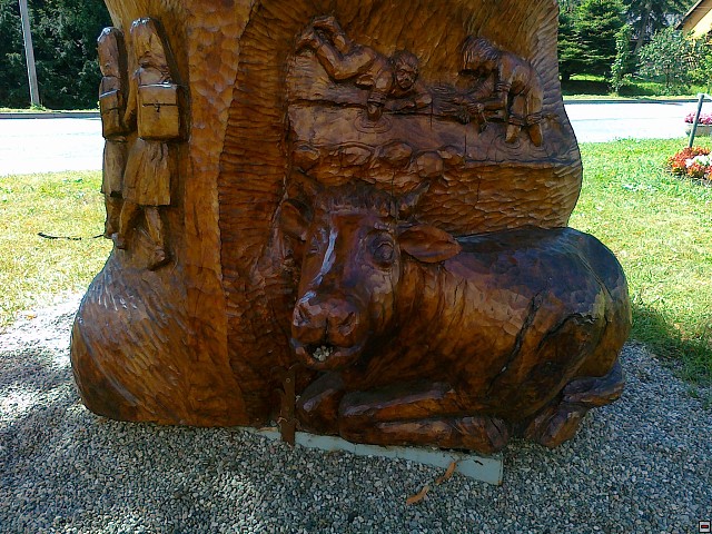 img00046.jpg