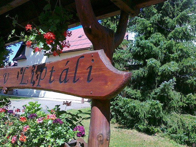 img00051.jpg
