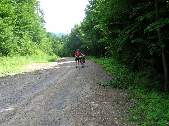 img00082.jpg