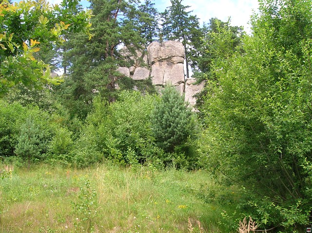 img00123.jpg