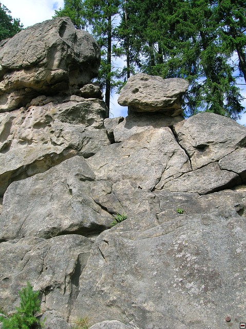 img00126.jpg