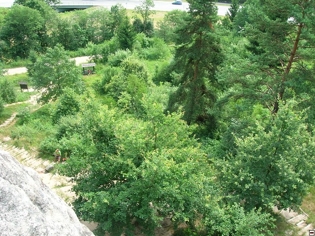 img00127.jpg