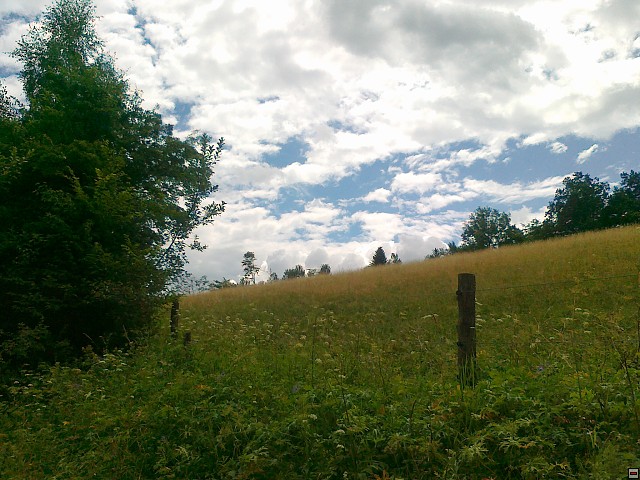 img00131.jpg