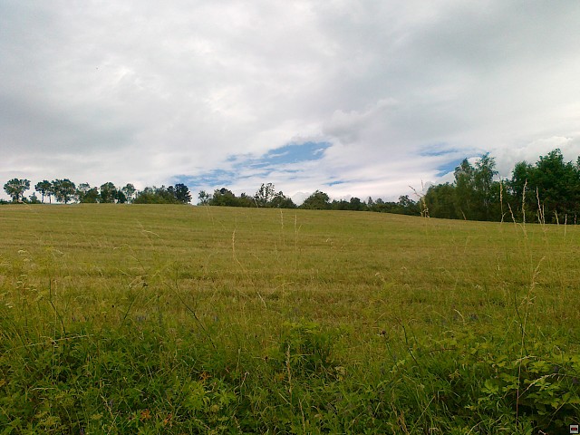img00146.jpg