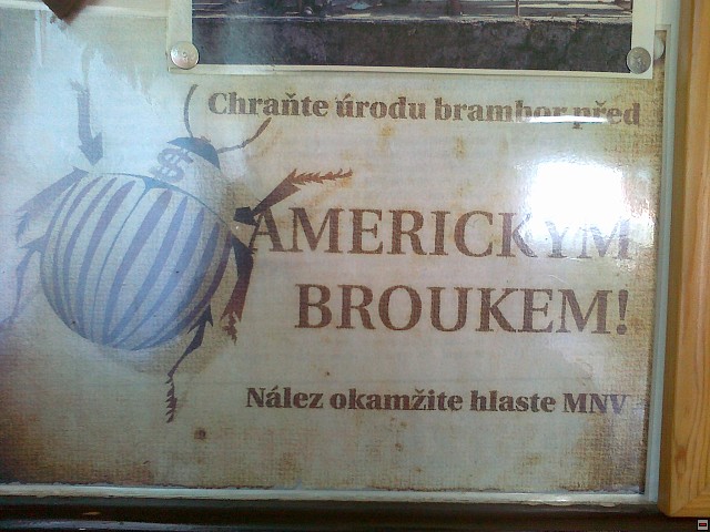 img00164.jpg