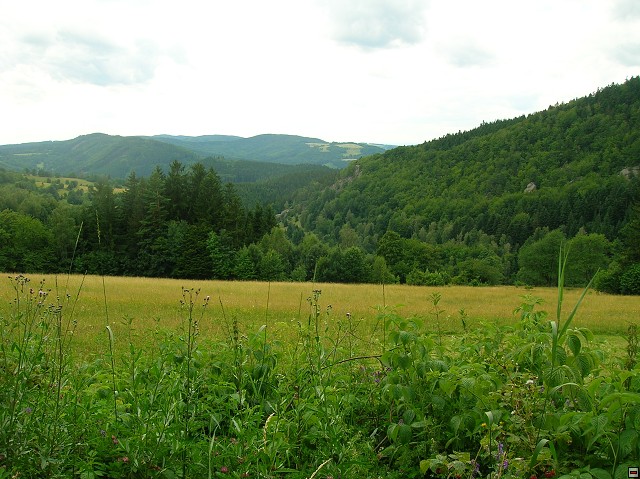 img00169.jpg