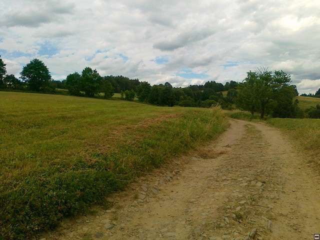 img00173.jpg
