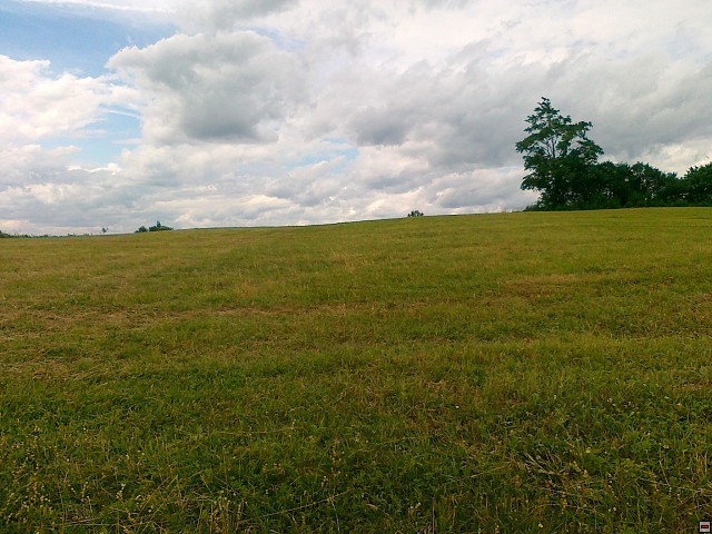 img00174.jpg