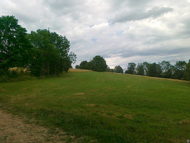 img00178.jpg