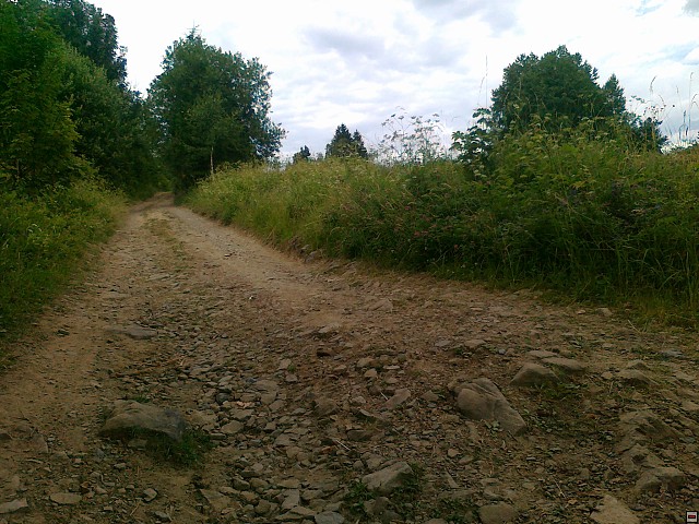 img00179.jpg
