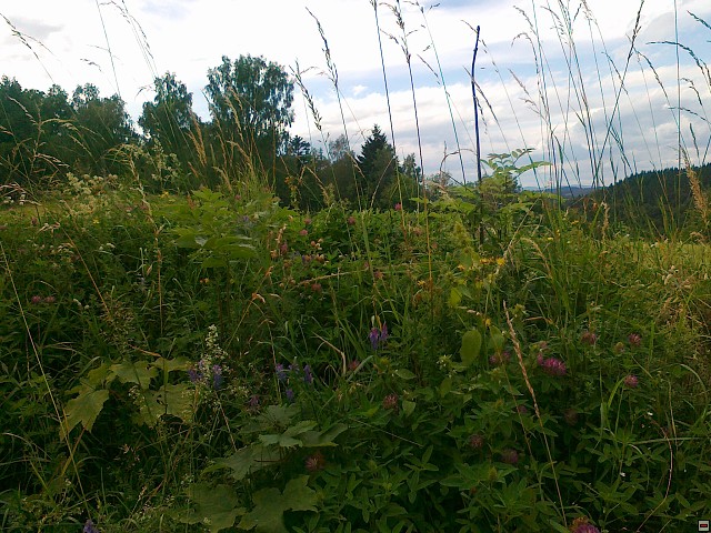 img00182.jpg