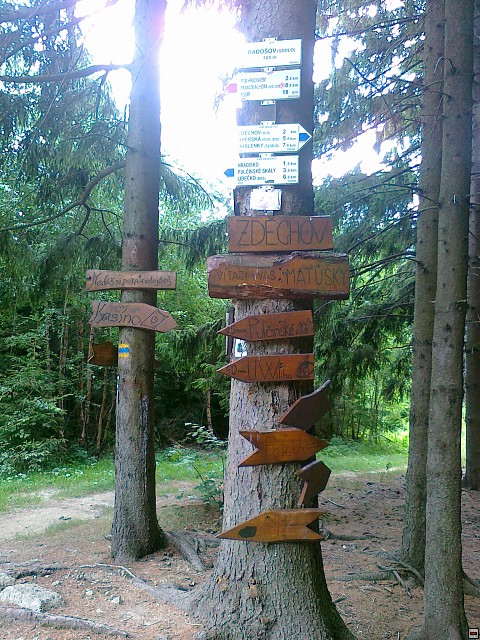img00185.jpg