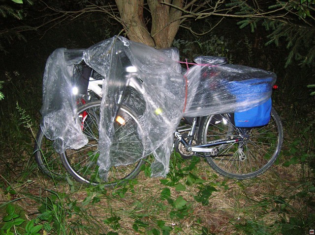 img00190.jpg