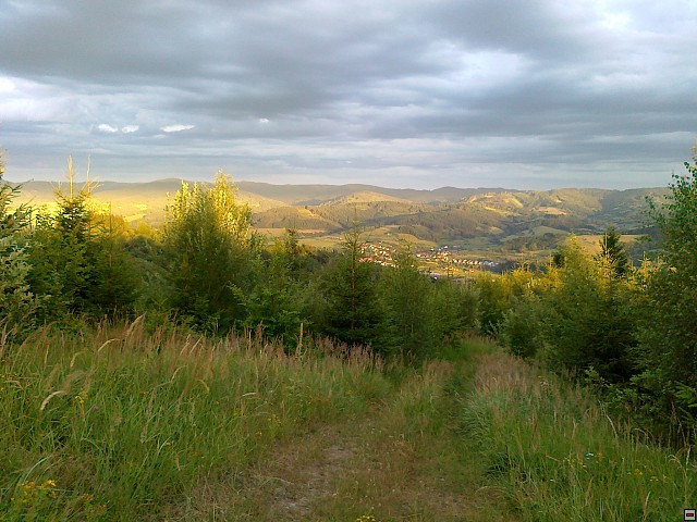 img00193.jpg