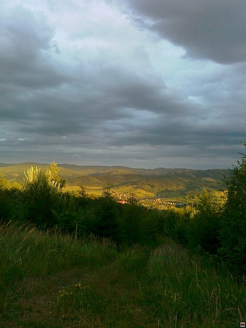 img00194.jpg