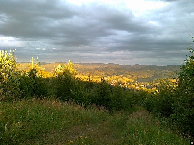 img00195.jpg