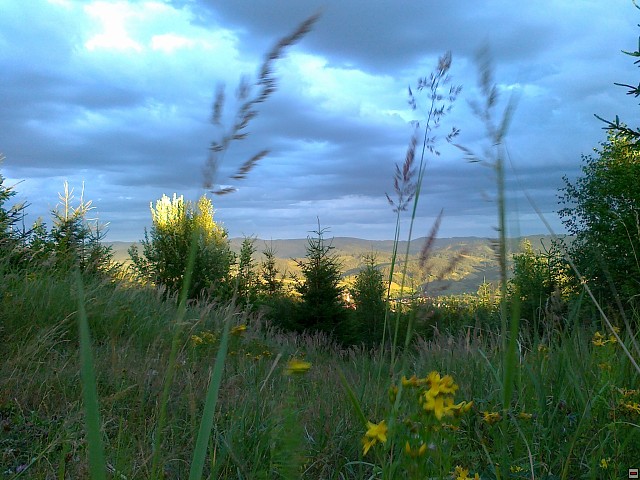 img00197.jpg