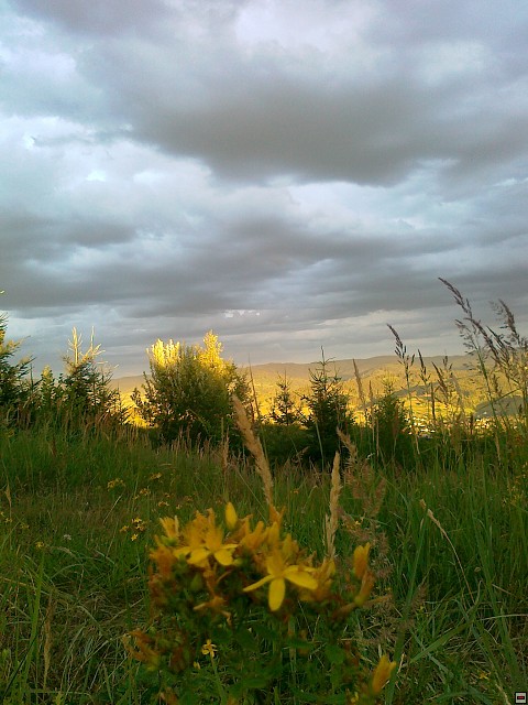 img00198.jpg