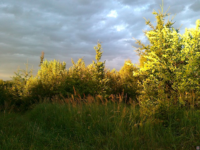 img00199.jpg
