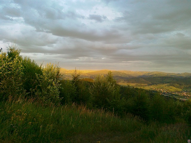 img00201.jpg