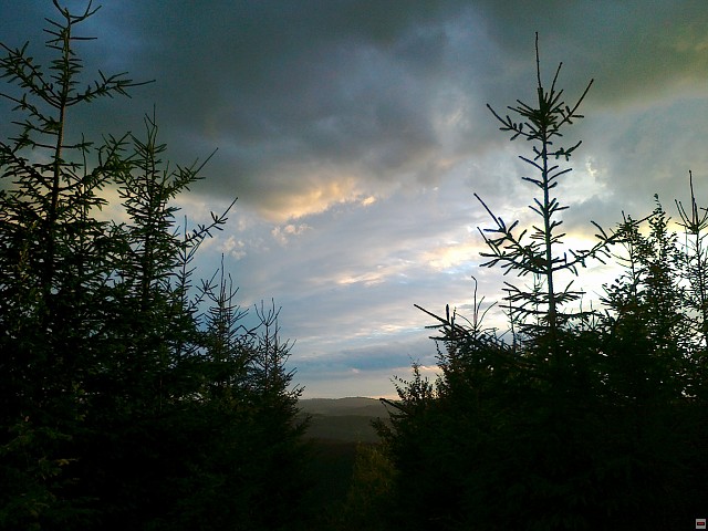 img00202.jpg
