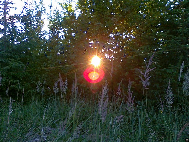 img00203.jpg