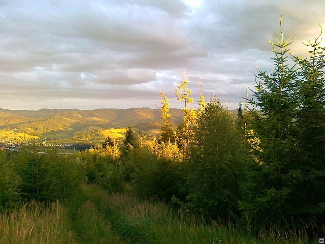 img00204.jpg