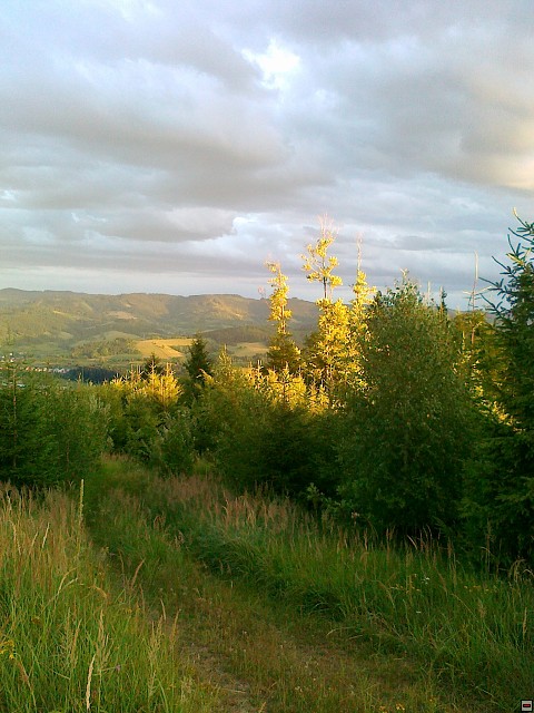 img00205.jpg