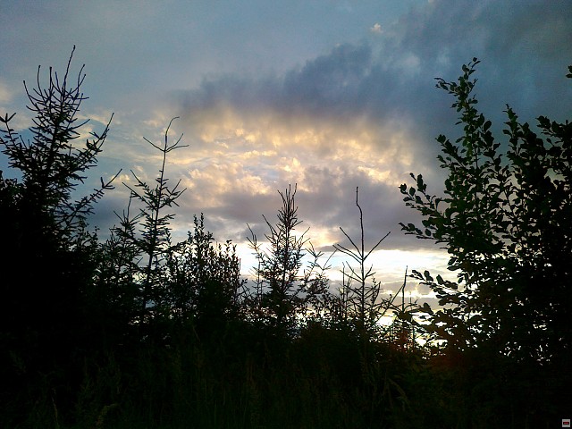 img00207.jpg