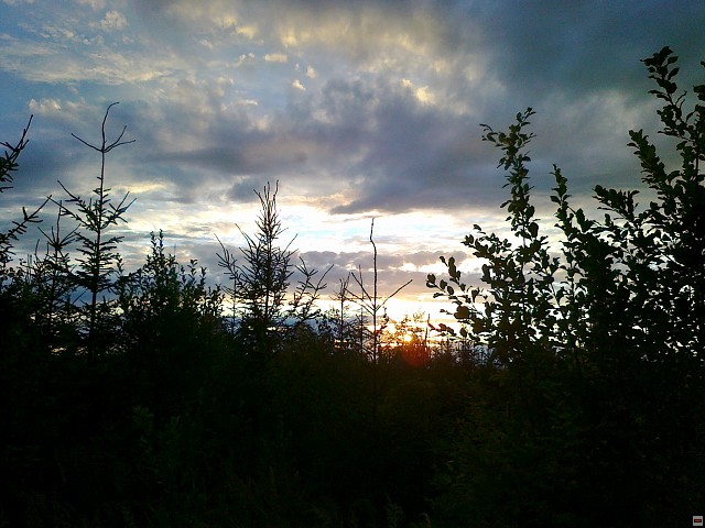 img00208.jpg