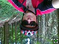 thn00026.jpg